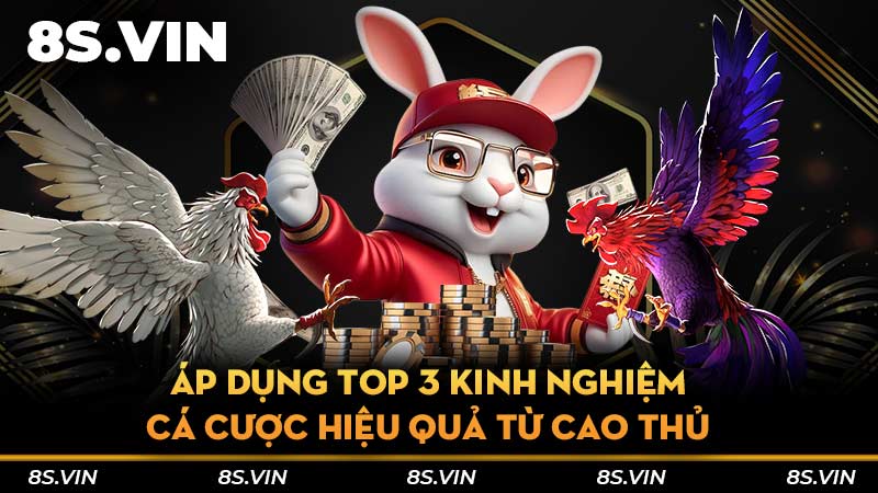 Áp dụng top 3 kinh nghiệm cá cược hiệu quả từ cao thủ