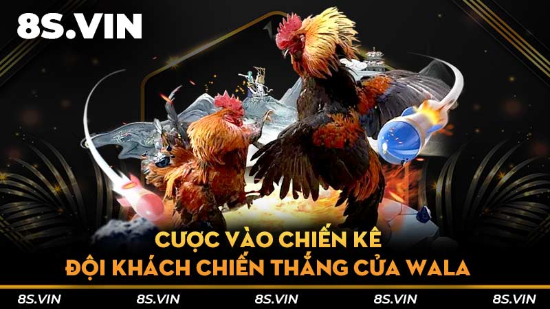 Cược vào chiến kê đội khách chiến thắng cửa Wala