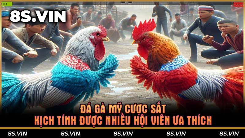 Đá gà Mỹ cược sắt kịch tính được nhiều hội viên ưa thích