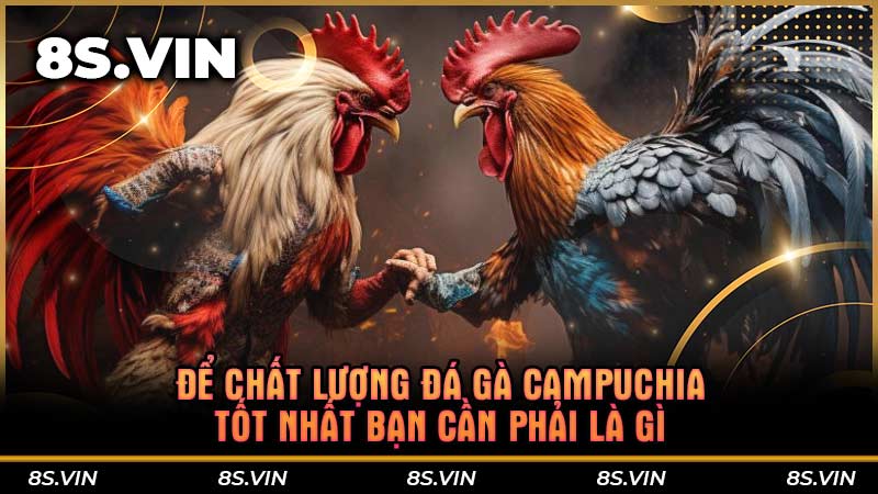 Để chất lượng đá gà Campuchia tốt nhất bạn cần phải là gì