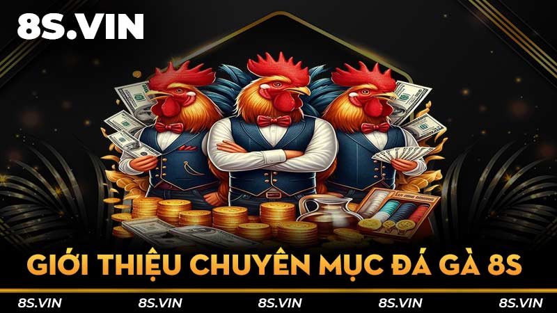 Giới thiệu chuyên mục Đá Gà 8S