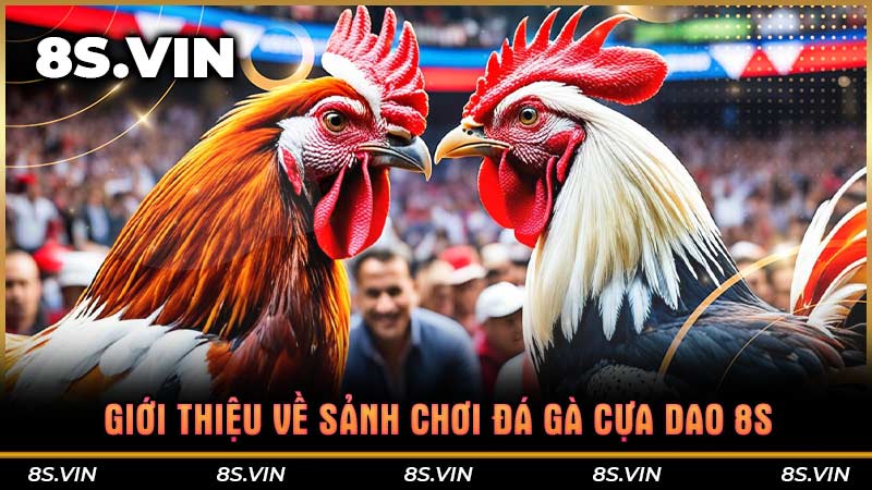 Giới thiệu về sảnh chơi Đá gà cựa dao 8S