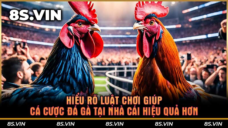 Hiểu rõ luật chơi giúp cá cược đá gà tại nhà cái hiệu quả hơn