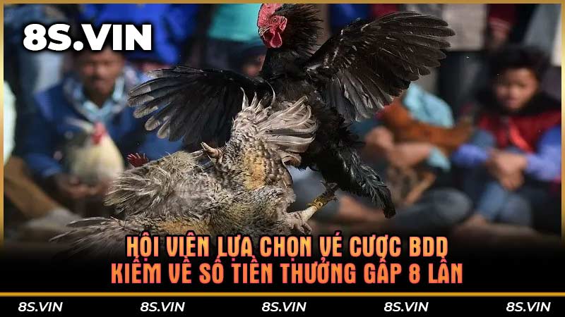 Hội viên lựa chọn vé cược BDD kiếm về số tiền thưởng gấp 8 lần