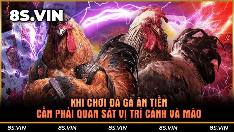 Khi chơi đá gà ăn tiền cần phải quan sát vị trí cánh và mào