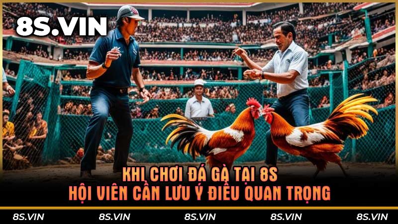 Khi chơi đá gà tại 8S hội viên cần lưu ý điều quan trọng