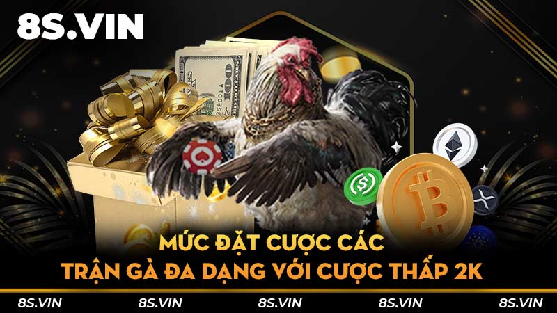 Mức đặt cược các trận gà đa dạng với cược thấp 2K