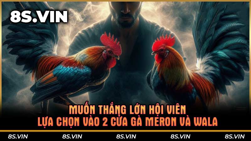 Muốn thắng lớn hội viên lựa chọn vào 2 cửa gà Meron và Wala