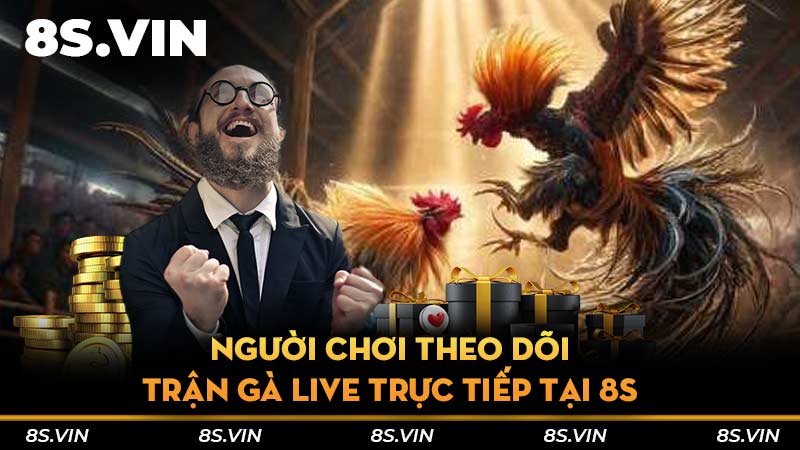 Người chơi theo dõi trận gà live trực tiếp tại 8S