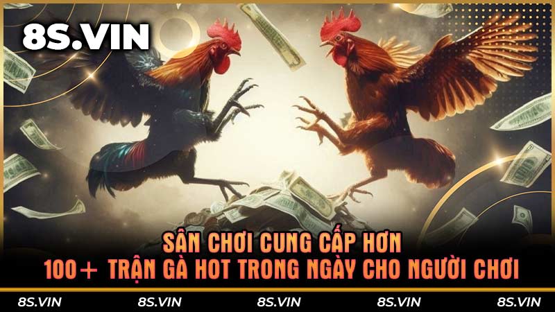 Sân chơi cung cấp hơn 100+ trận gà hot trong ngày cho người chơi