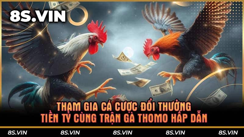 Tham gia cá cược đổi thưởng tiền tỷ cùng trận gà Thomo hấp dẫn