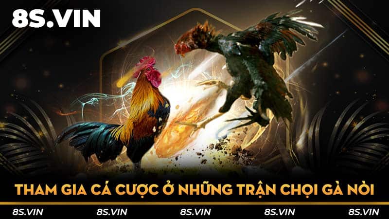 Tham gia cá cược ở những trận chọi gà nòi