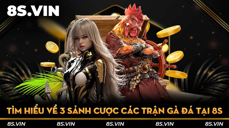 Tìm hiểu về 3 sảnh cược các trận gà đá tại 8S