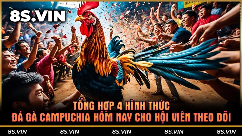 Tổng hợp 4 hình thức đá gà Campuchia hôm nay cho hội viên theo dõi