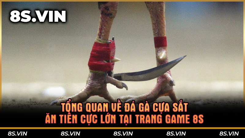 Tổng quan về đá gà cựa sắt ăn tiền cực lớn tại trang game 8S