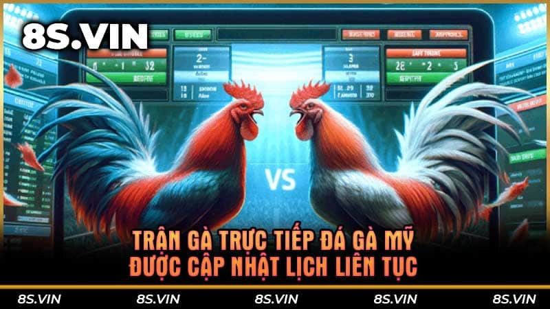 Trận gà trực tiếp đá gà Mỹ được cập nhật lịch liên tục