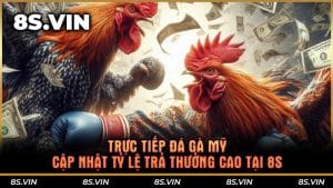 Trực tiếp đá gà Mỹ cập nhật tỷ lệ trả thưởng cao tại 8S