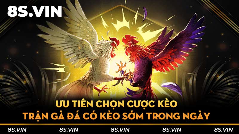 Ưu tiên chọn cược kèo trận gà đá có kèo sớm trong ngày